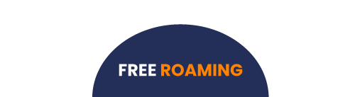 Free Roaming